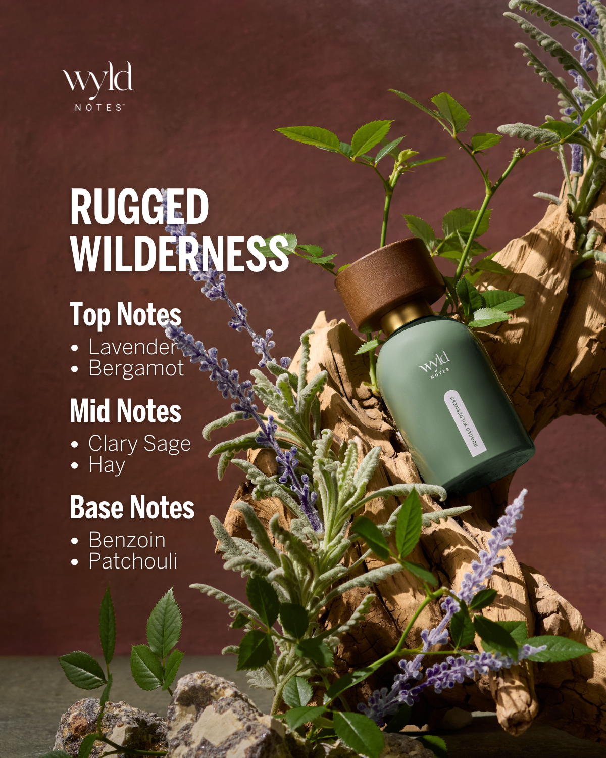 Rugged Wilderness