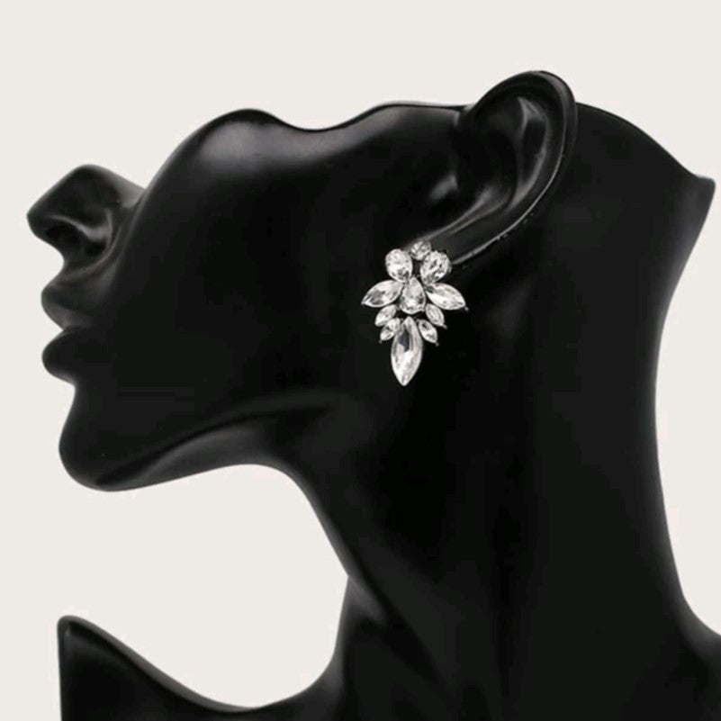 Silver Marbella Crystal Earrings